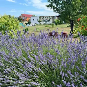 Camping Laste, Smokovic